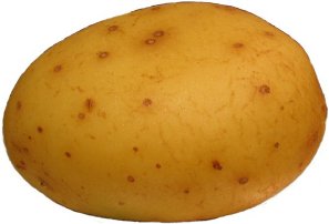 سیب زمینی 