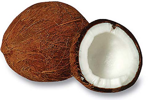 نارگیل 