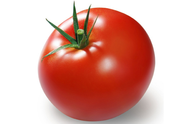 گوجه فرنگی 