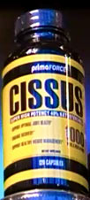 cissus 