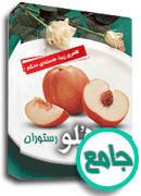 نرم افزار هلو - رستوران جامع کد 41