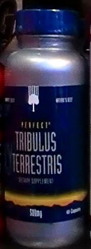 tribulus terrestris2 