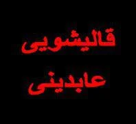 بهترین قالیشویی در غرب تهران عابدینی 